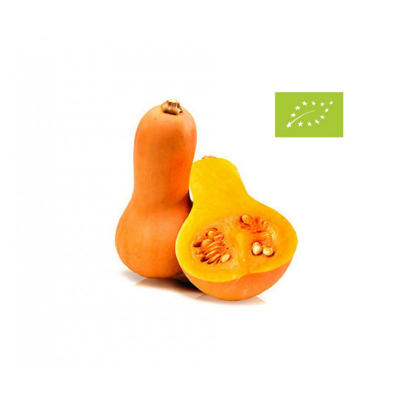 Calabaza Butternut, unidad (Granada)