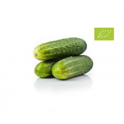 Pepino Corto, 1/2 kg (Granada)